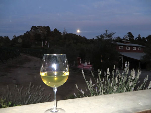 La Vida Bella Vineyard Harvest Party 2015