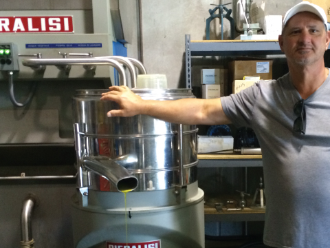 La Vida Bella Vineyard Making Olive Oil